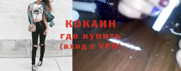 молекула духа Краснослободск