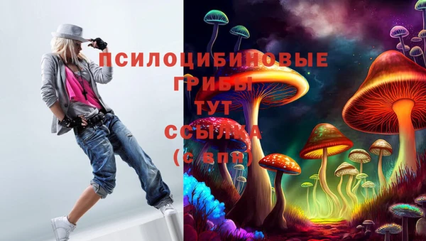 тгк Абдулино