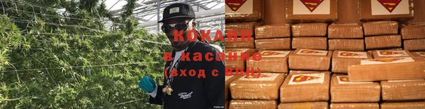 каннабис Абаза
