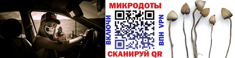 Галлюциногенные грибы MAGIC MUSHROOMS  продажа наркотиков  Аксай 
